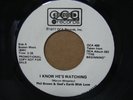 PHIL BROWN I Know. RARE MODERN SOUL/DISCO/BOOGIE 45 mp3