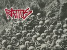 LP  RATTUS 