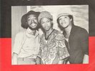 PRESENTING THE MORWELLS. morwell esq. 1975. L.P.rare.