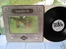 RARE LP HAZE HAZECOLOR-DIA 1971 MINT KRAUTROCK MUSIC