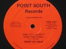 POINT OF VIEW Rare SC ELECTRO/BOOGIE 12