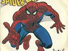 45 rpm  Theme From SPIDERMAN - Web Spinners - w/PS NM++