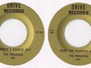 (B0625) PROLIFICS: IF ONLY I COULD FLY/KEEP ON RAINING