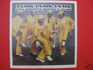 MIGHTY MIGHTY TAMS LP-rare Modern Soul DISCO private