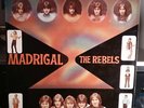 REBELS Madrigal 1969 RARE FREAKBEAT PSYCH SOUL LP HEAR