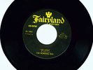 Kansas Garage The Morning Dew Go Away Fairyland 45 1003
