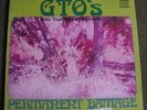 GTO’S – PERMANENT DAMAGE record lp PROMO Frank Zappa