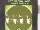 TODD RUNDGREN / NAZZ 'NOT WRONG LONG' RARE FRENCH PS 45