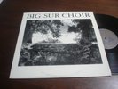 BIG SUR CHOIR s/t PRIVATE LP Cali blissed out folk