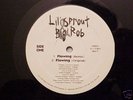 Lil Sprout Big Rob Flowing Rare Private Random Rap