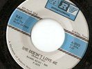 RAY & BLUE SATINS She Doesn't Love Me NORTHERN SOUL mp3