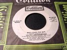 VELVET UNDERGROUND WHO LOVES THE SUN STEREO/MONO  45