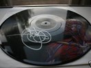 TOOL LATERALUS SIGNED - AENIMA NINE INCH NAILS DEFTONES