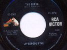 LIVERPOOL FIVE The Snake GREAT garage rock mod 45 HEAR