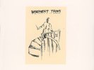 MOUNTAIN GOATS LP comp Refrigerator Alan Licht Shrimper