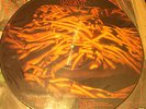 THE JESUS LIZARD Goat PICTURE DISC MINT (T&G '91)