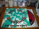 MIGHTY MIGHTY BOSSTONES Don't Know How To Party Pic LP
