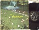DOO WOP the FLAMINGOS LP on black CHECKER very clean