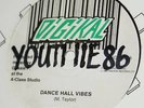 Mikey General - Dance Hall Vibes 12