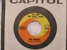 HONEYS - THE ONE YOU CAN'T HAVE,CAPITOL,BRIAN WILSON