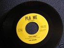 Old 45 Vinyl Record - THE OCEANS - SHE'S GONE on Pla-Me