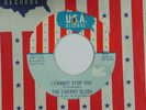 CHERRY SLUSH garage 45 I CANNOT STOP YOU   USA