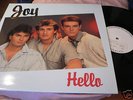 LP  JOY  HELLO   MUSTERPLATTE