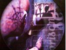 TOOL PRISON SEX / SOBER IMPORT 12
