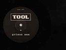 TOOL PRISON SEX RARE PROMO IMPORT 12