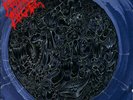 MORBID ANGEL altars of madness LP original 1st edition