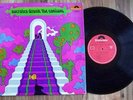 SOCRATES DRANK THE CONIUM  RARE GREEK PRESSED PSYCH LP