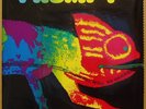 Frumpy  All will Changed  Phillips Krautrock 1970  NM