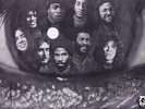 F B I (FOLK BLUES INC ) FBI LP GOOD EARTH GDS802