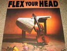 Various Flex Your Head First Pressing Dischord PUNK LP