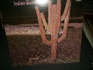 INDIAN SUMMER S/T RARE LP NEON RCA USA STILL SEALED
