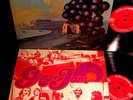 1968  MOBY GRAPE   WOW + JAM  Hippie Psych Blues Garage