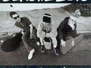 Beastie Boys Check Your Head Box Set 4x Vinyl 180 Gr LP