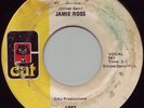 Jamie Ross Try My Love Rare Soul Funk 45 HEAR MP3