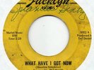 DARROW FLETCHER what have i..JACKLYN northern soul 45