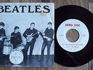 THE BEATLES  TAKE GOOD CARE OF MY BABY  1 SIDED 45/PS