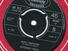 PATTERSON'S PEOPLE Deadly nightshade '66 early psych ?