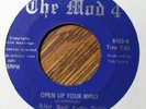THE MOD 4 RARE ALL GIRL PSYCH GARAGE 45 FREDLO - VG+