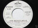 The Beach Boys 
