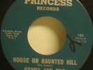Kenny and the Fiends 45 House on Haunted Hill-Princess