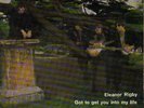 THE BEATLES 7' EP ** ELEANOR RIGBY +3 ** SPANISH EDIT