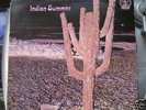 INDIAN SUMMER GATEFOLD LP 1971 LABEL RCA NEON