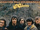 USA 33 RPM THE COLLECTORS : GRASS AND WILD STRAWBERRIES
