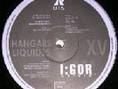 Vend  vinyle hardcore hangars liquides 015 I:gor