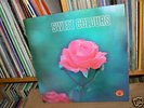 Library LP Sweet Colours - JANKO NILOVICH PASCAL AURIAT