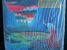 ASHBURY Endless Skies LP (1983) PRIVATE HARD ROCK/METAL